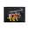 Playmobil 71262 Triceratops Dino Rise ¡Oferta!