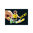 Playmobil 70545 Jugador fútbol BVB ¡Exclusivo!