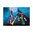 Playmobil 9309 Duo Pack Hombre Lobo y Bruja ¡Halloween!