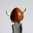 Playmobil Casco vikingo marrón cuernos blancos  ¡Despiece!