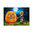 Playmobil 9894 Bruja Halloween ¡Calabaza!