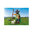 Playmobil 70973 El Pastor ¡Playmofriends!