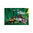 Playmobil 70808 Ceremonia de Primavera ¡Ayuma!