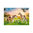 Playmobil 71000 Dos Ponis con Potros ¡Country!