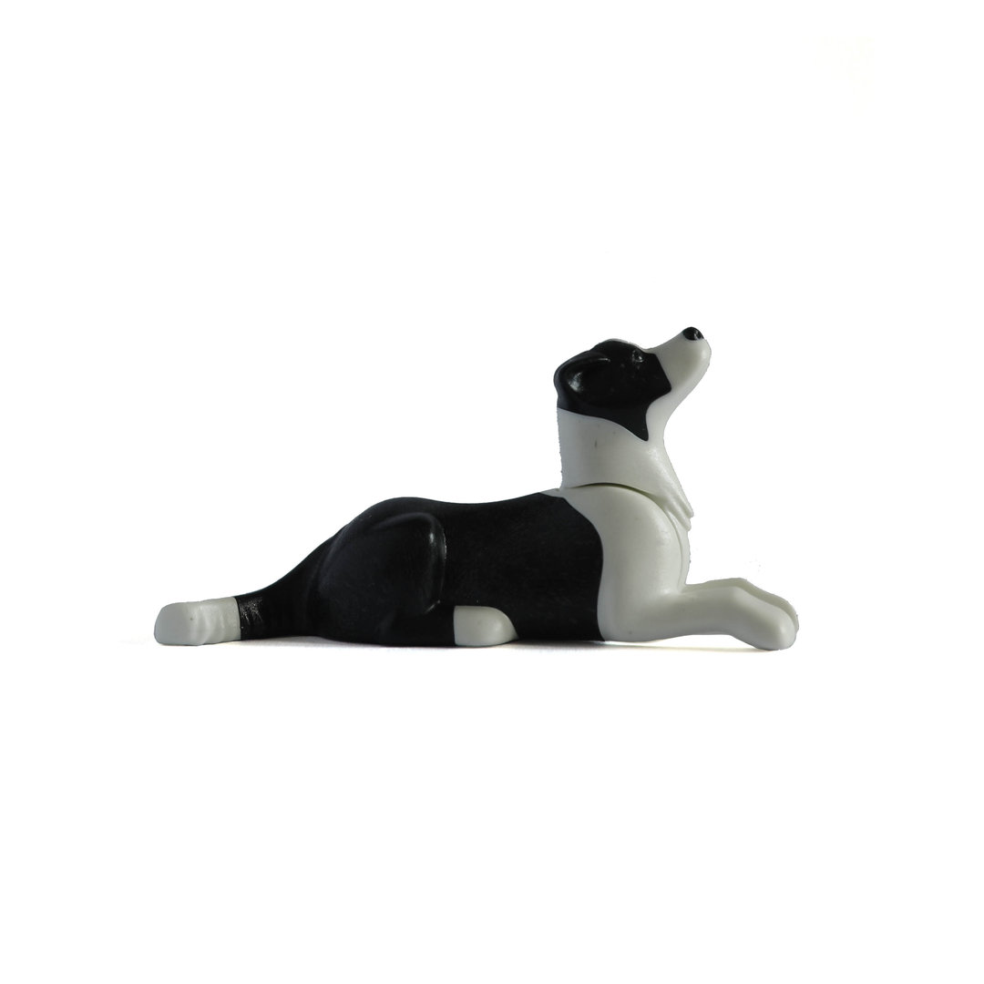 Playmobil Perro Border Collie acostado ¡Mercadillo! | clickclack.es