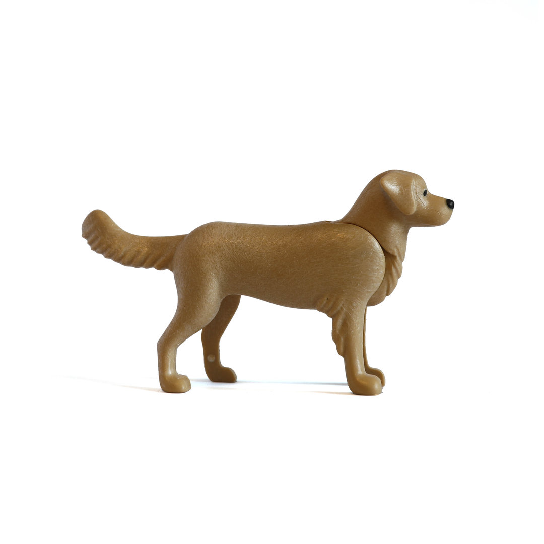Playmobil Perro canela ¡Mercadillo! | clickclack.es