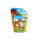 Playmobil 9259 Terapeuta de caballos ¡Nuevo! | clickclack.es