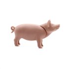 Playmobil Cerdo adulto ¡Mercadillo! | clickclack.es