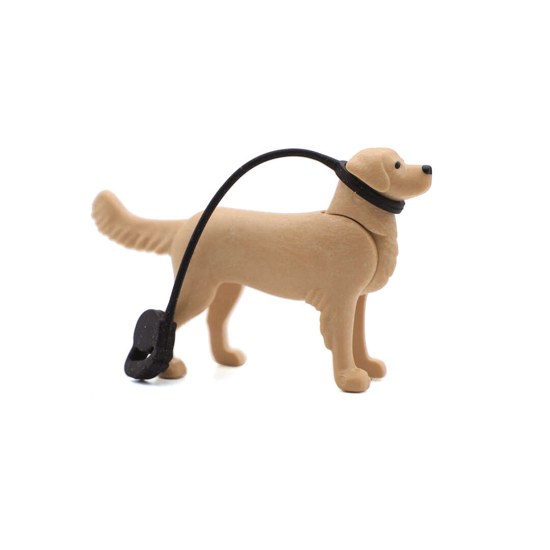 Playmobil Perro labrador con correa ¡Mercadillo! | clickclack.es